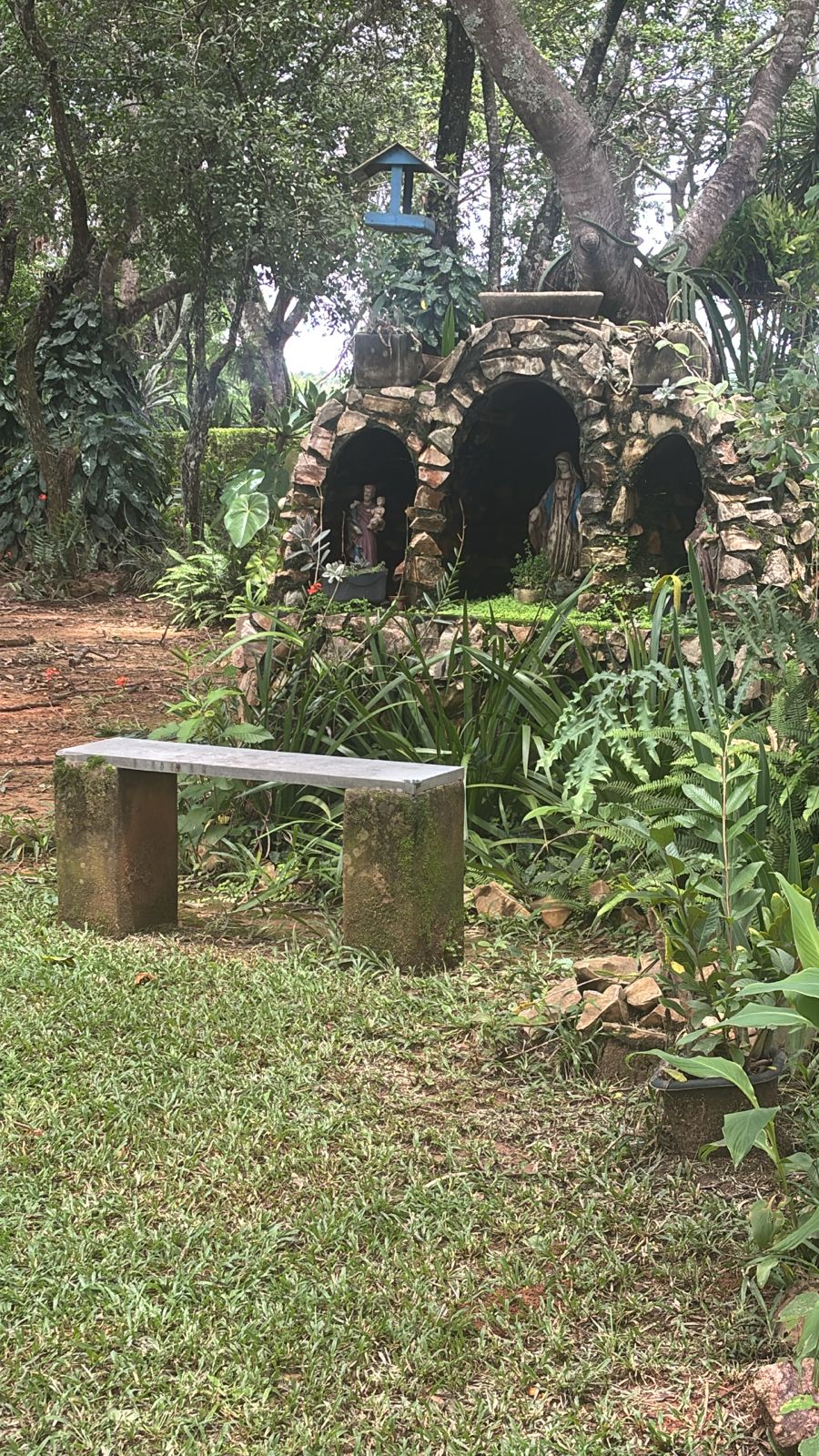 F-130 FAZENDA 23HA PARAOPEBA MG