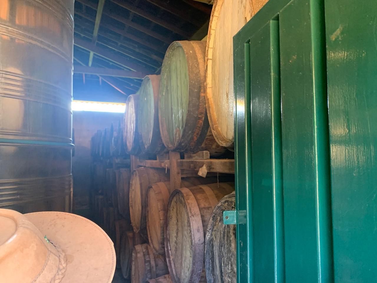 F-124 FAZENDA 95HECTARES CURVELO MG