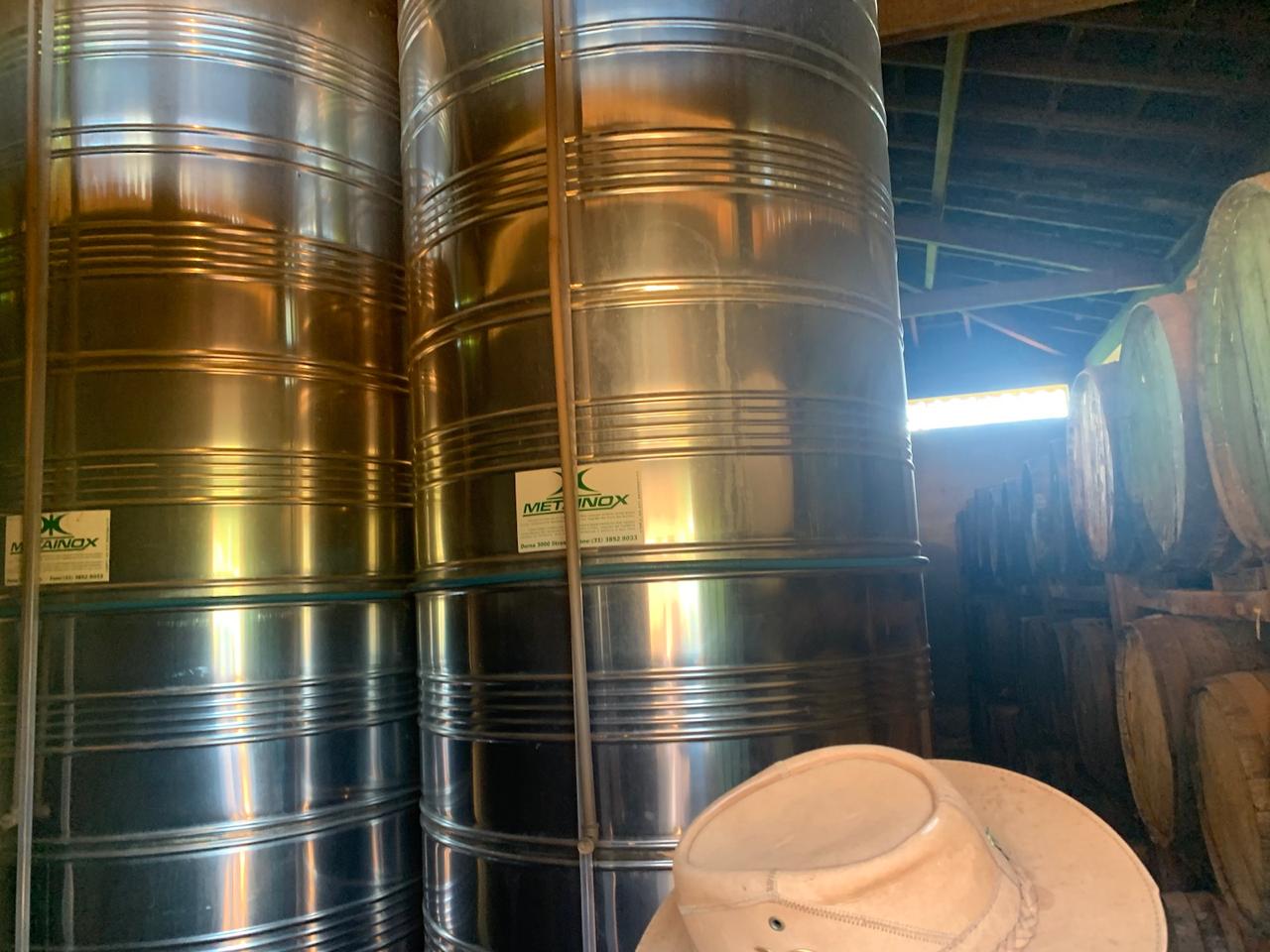 F-124 FAZENDA 95HECTARES CURVELO MG