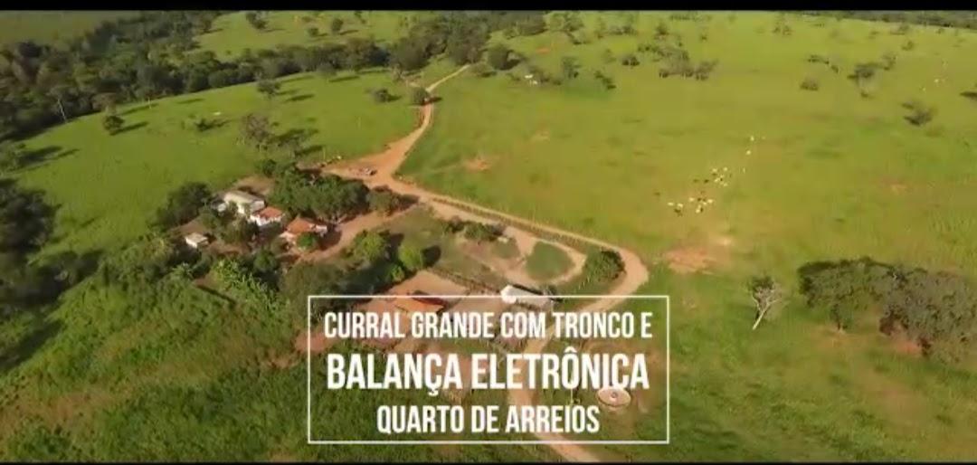 F-126 FAZENDA 1800HAC CURVELO MG