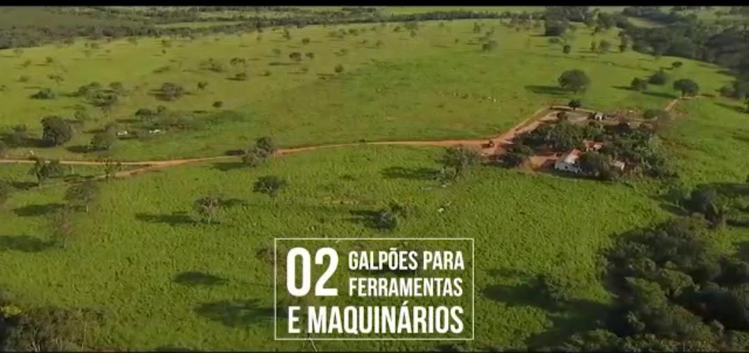 F-126 FAZENDA 1800HAC CURVELO MG