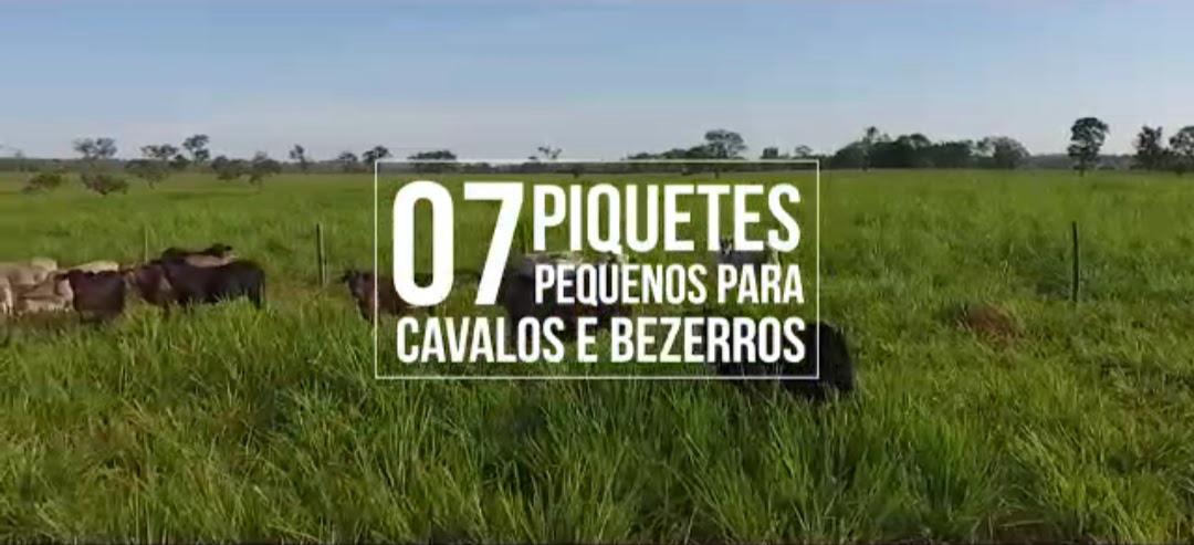 F-126 FAZENDA 1800HAC CURVELO MG