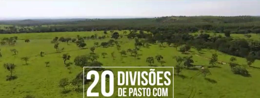 F-126 FAZENDA 1800HAC CURVELO MG