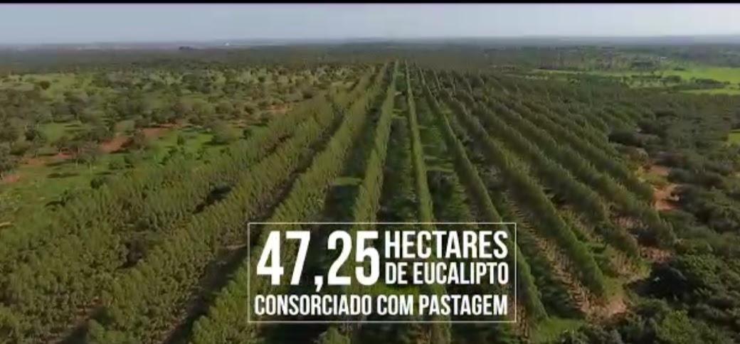 F-126 FAZENDA 1800HAC CURVELO MG