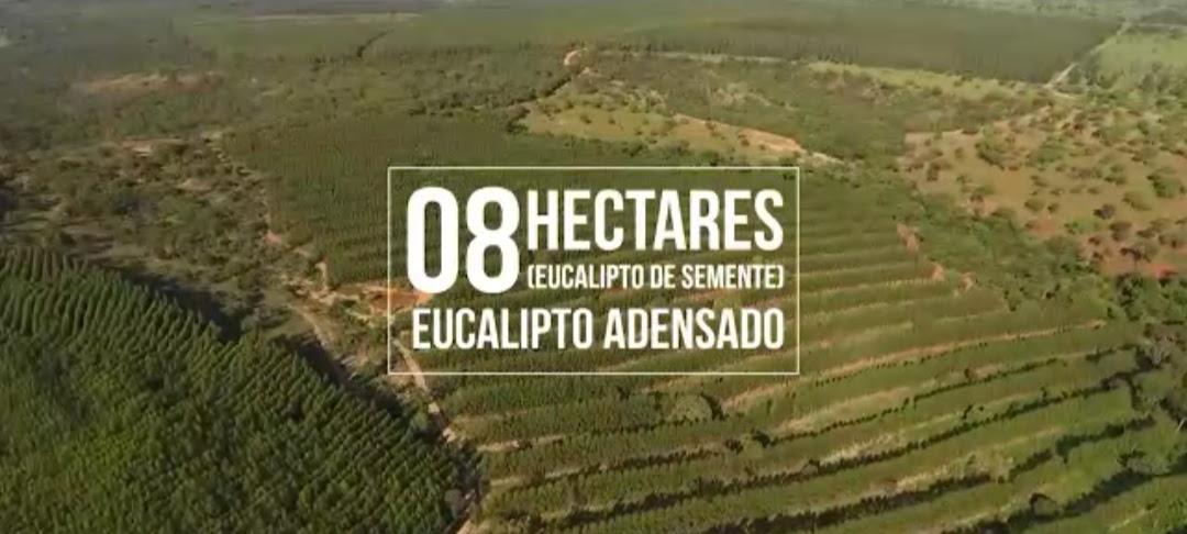 F-126 FAZENDA 1800HAC CURVELO MG