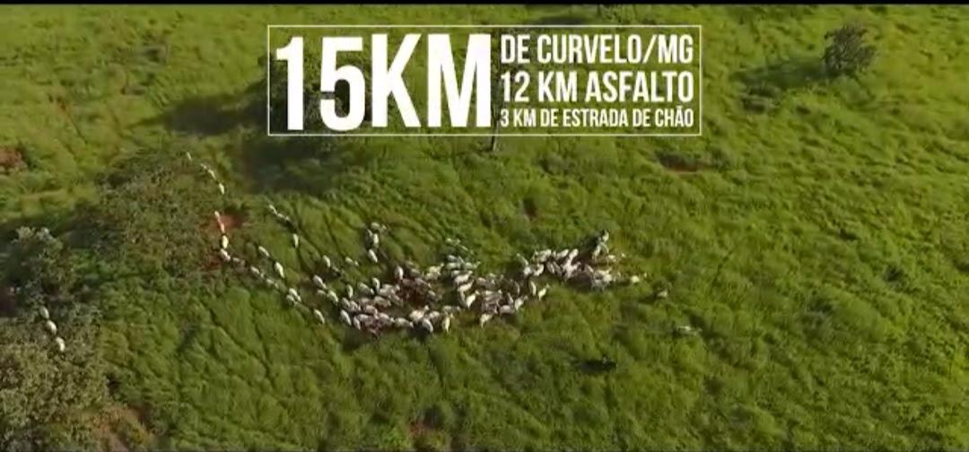 F-126 FAZENDA 1800HAC CURVELO MG