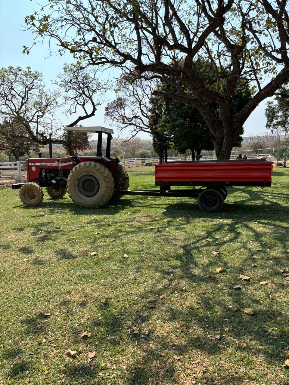 F-127 30HECTRES CURVELO MG