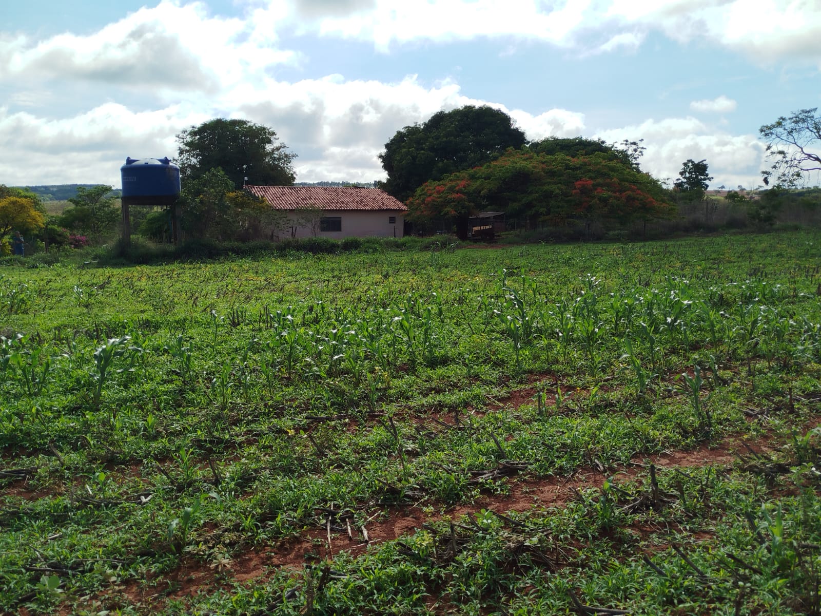 F-131 FAZENDA 68HA CURVELO MG
