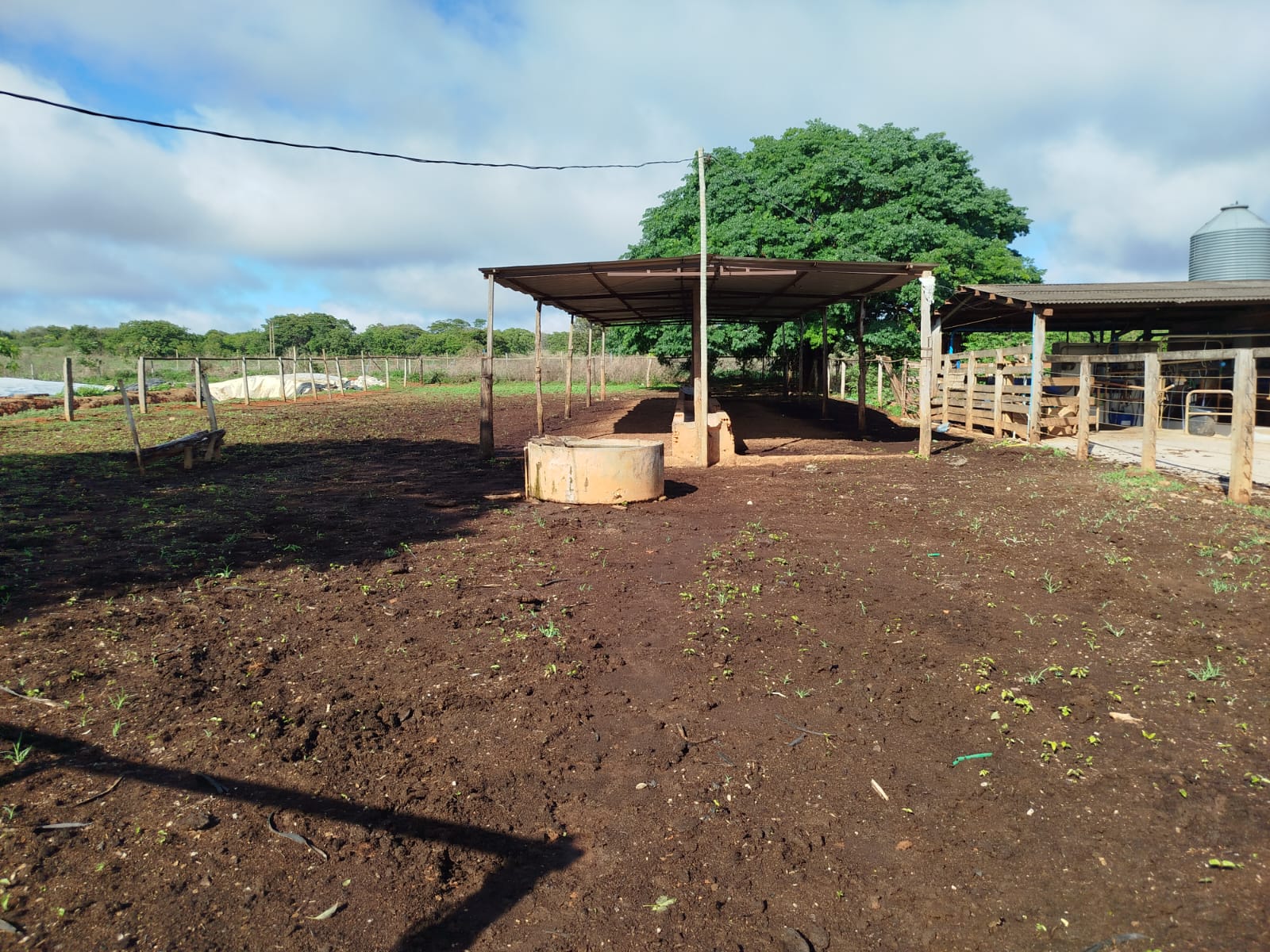 F-131 FAZENDA 68HA CURVELO MG