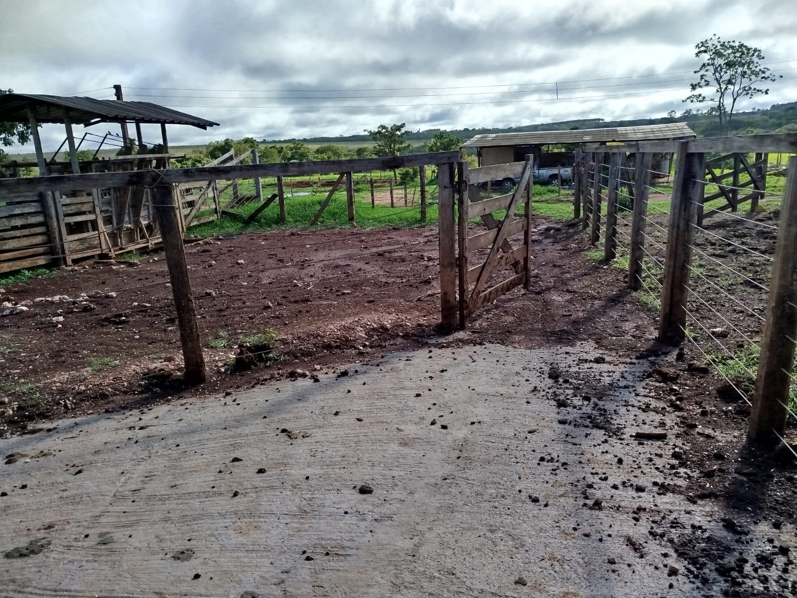 F-131 FAZENDA 68HA CURVELO MG