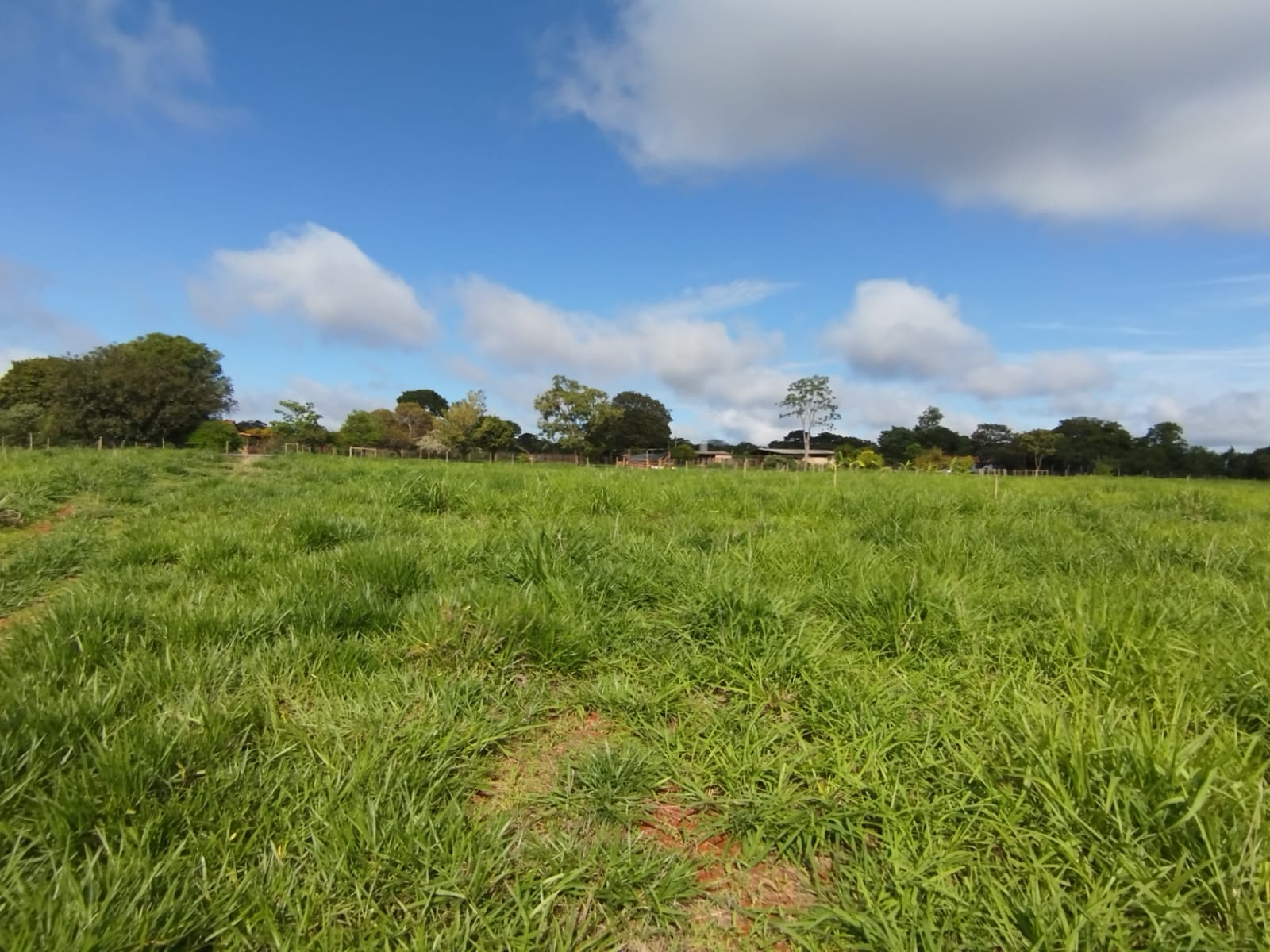 F-131 FAZENDA 68HA CURVELO MG