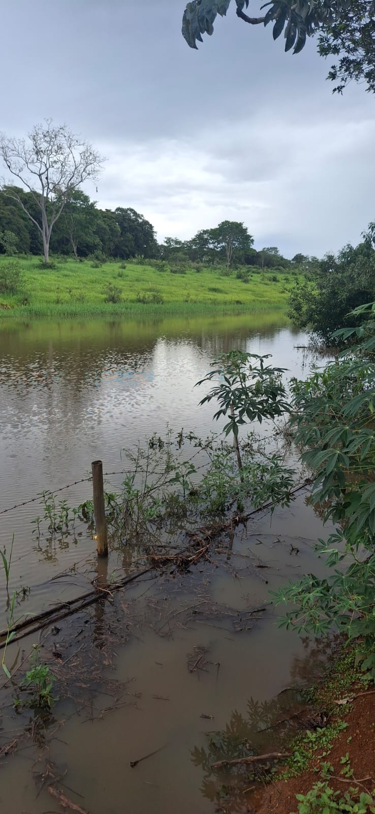 F-128 FAZENDA 80HECTARES CURVELOMG
