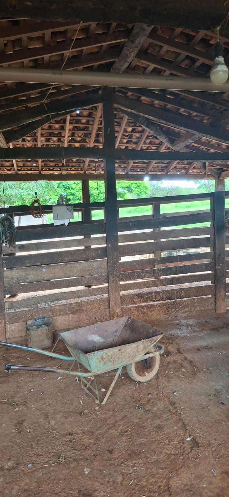 F-128 FAZENDA 80HECTARES CURVELOMG