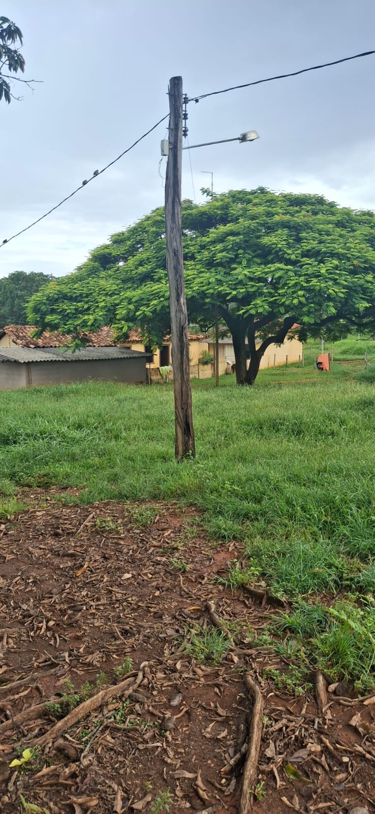F-128 FAZENDA 80HECTARES CURVELOMG