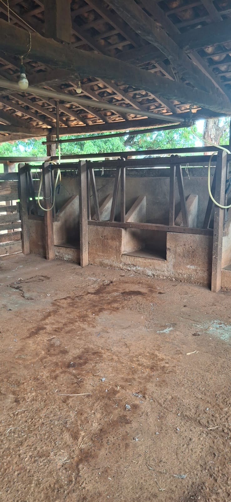 F-128 FAZENDA 80HECTARES CURVELOMG