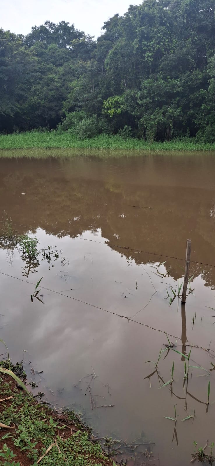 F-128 FAZENDA 80HECTARES CURVELOMG