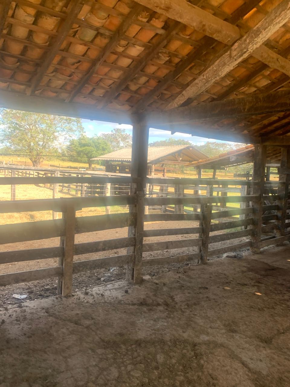 F-132 FAZENDA 770HA