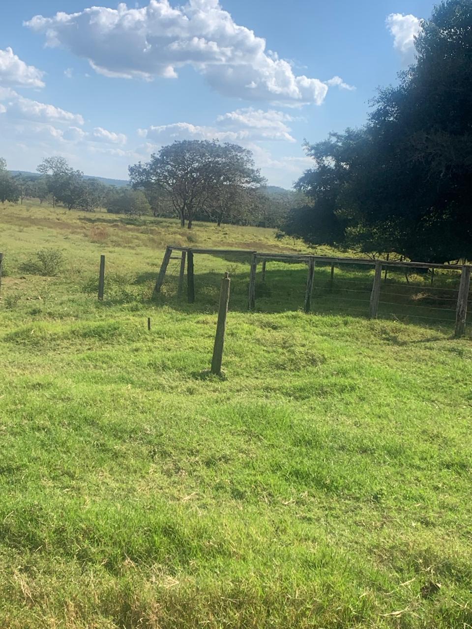 F-132 FAZENDA 770HA