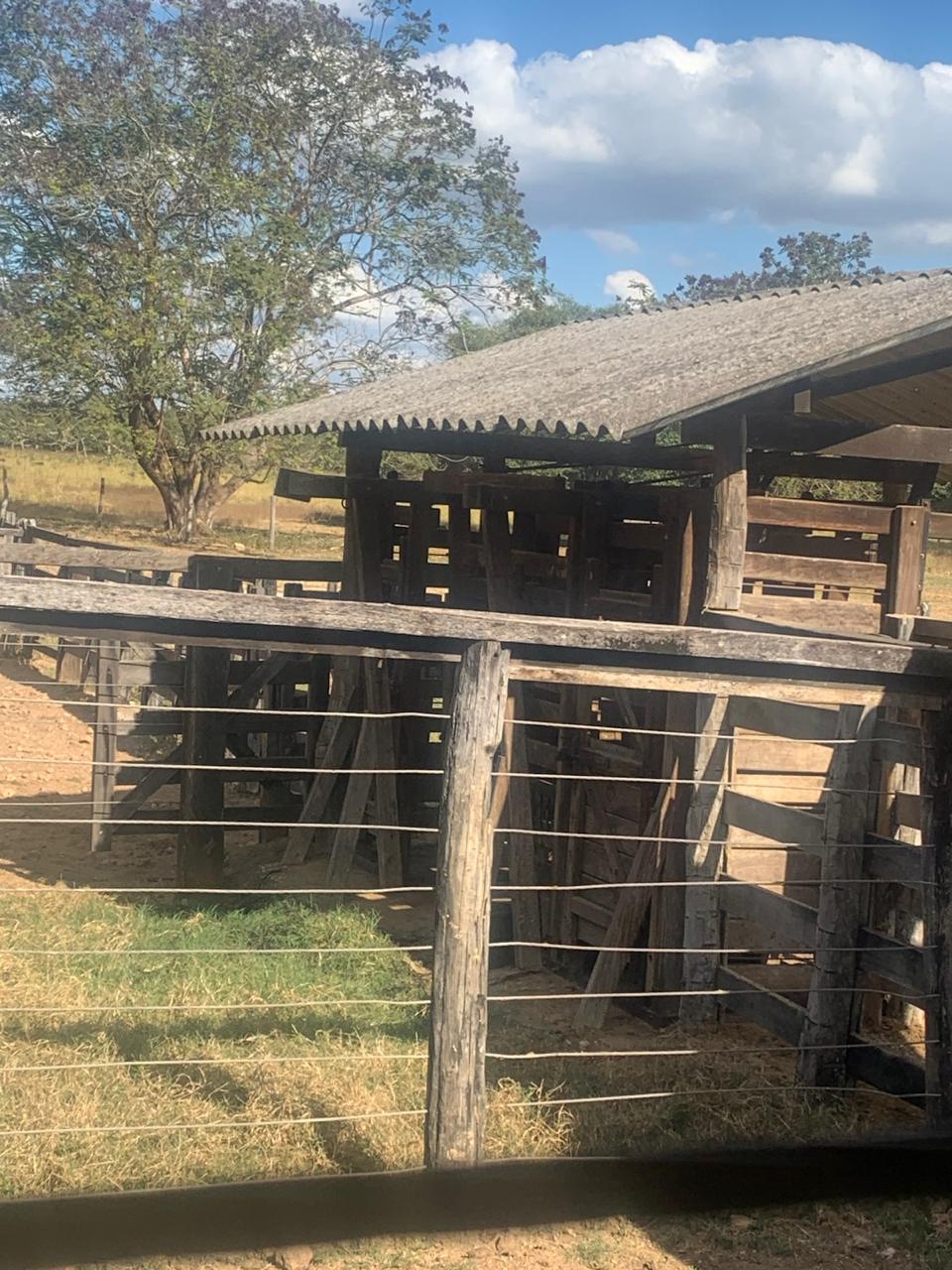 F-132 FAZENDA 770HA