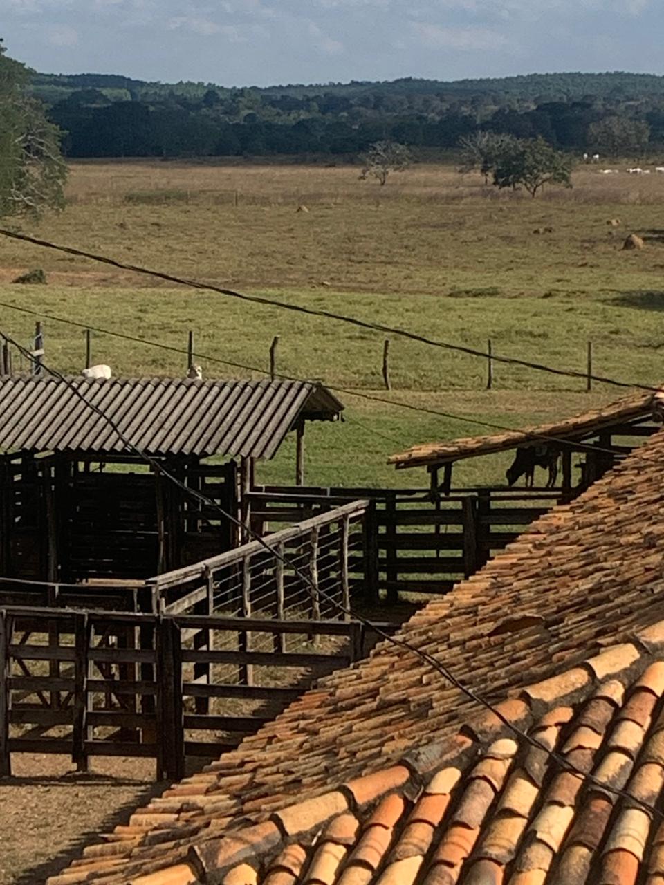 F-132 FAZENDA 770HA