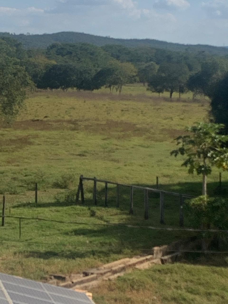 F-132 FAZENDA 770HA