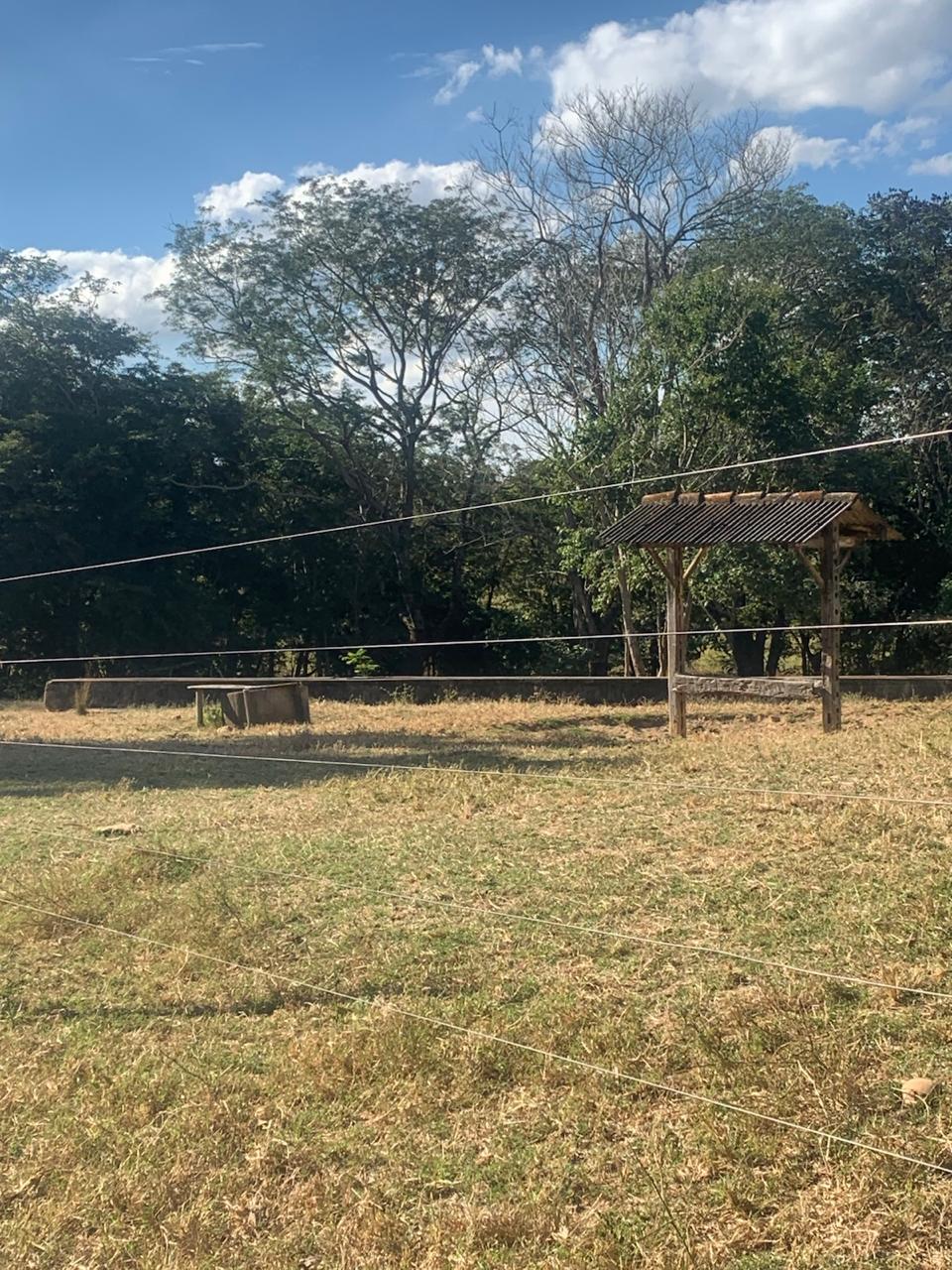 F-132 FAZENDA 770HA