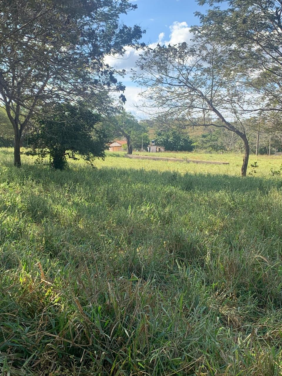 F-132 FAZENDA 770HA