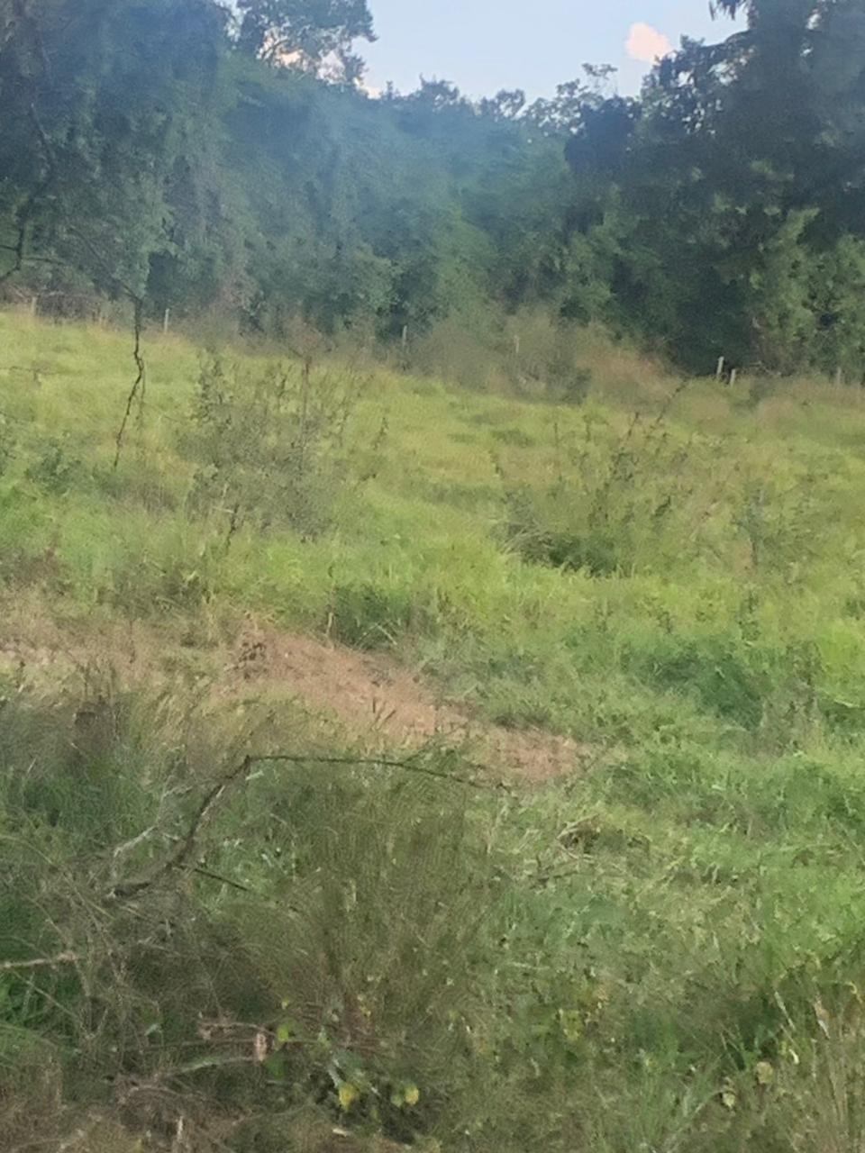 F-132 FAZENDA 770HA