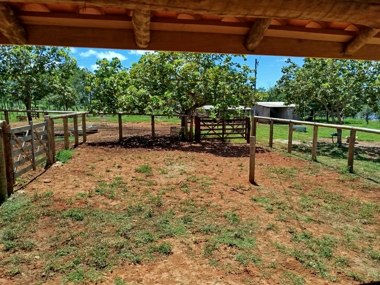 F-134 FAZENDA 152HA CURVELO MG