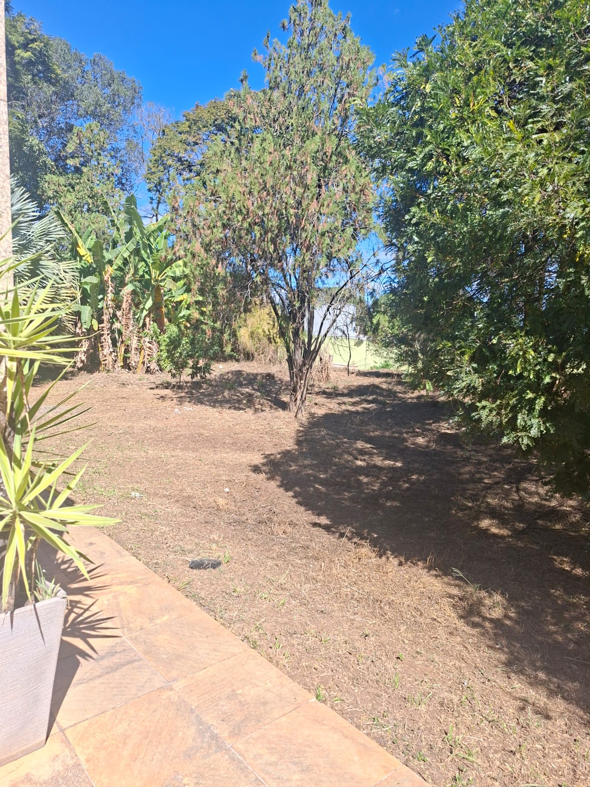 CH-01 CHACARA 6.000M2 PEDRO LEOPOLDO MG.