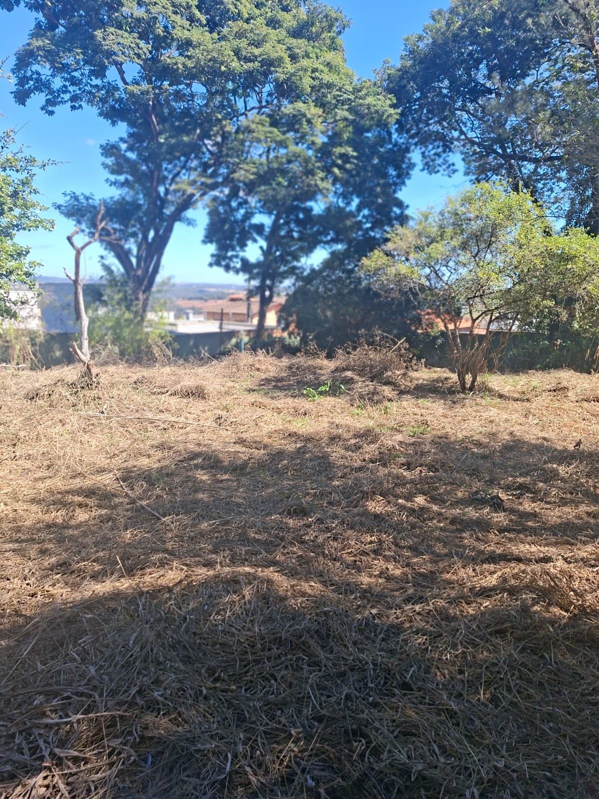 CH-01 CHACARA 6.000M2 PEDRO LEOPOLDO MG.