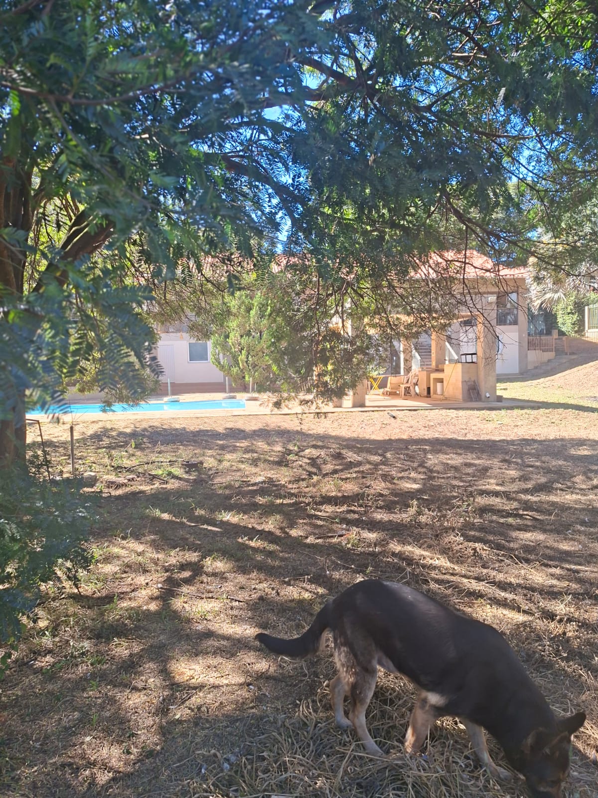 CH-01 CHACARA 6.000M2 PEDRO LEOPOLDO MG.