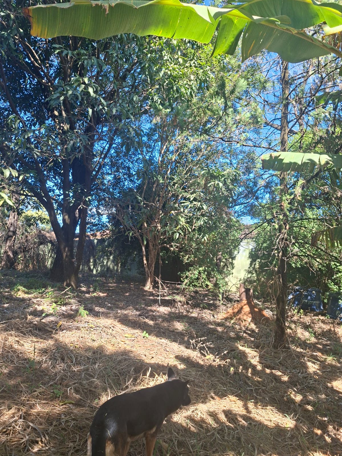 CH-01 CHACARA 6.000M2 PEDRO LEOPOLDO MG.