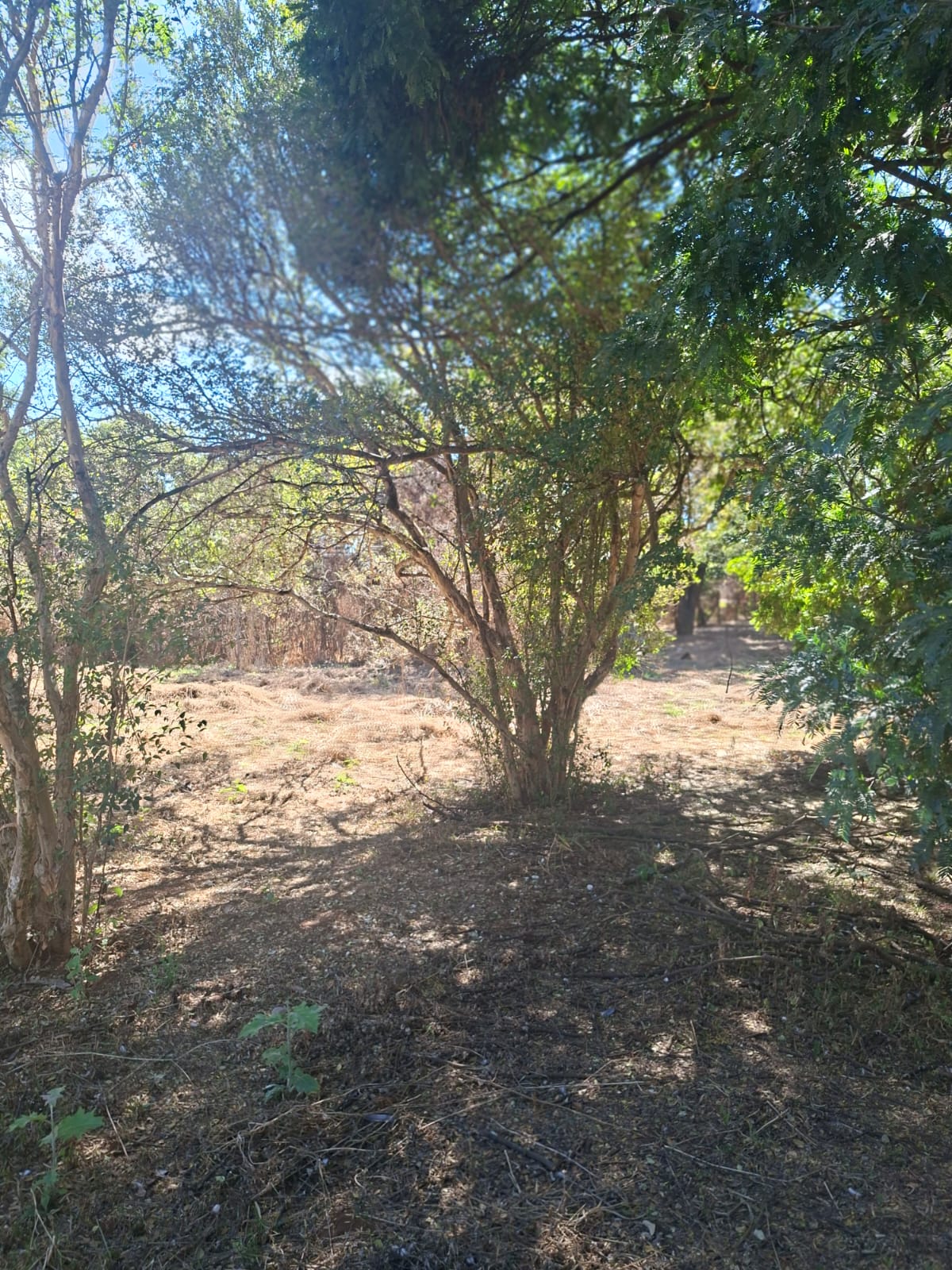 CH-01 CHACARA 6.000M2 PEDRO LEOPOLDO MG.