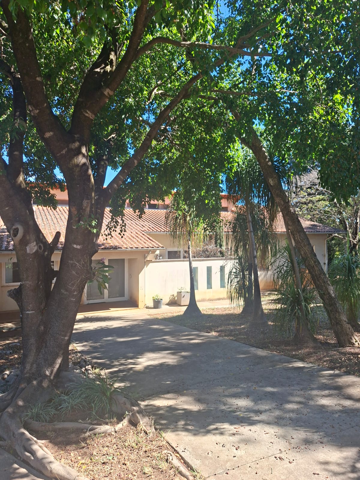 CH-01 CHACARA 6.000M2 PEDRO LEOPOLDO MG.